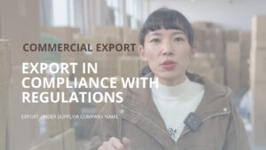Export under china export company name
