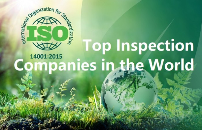 Top Inspection Companies in the World
